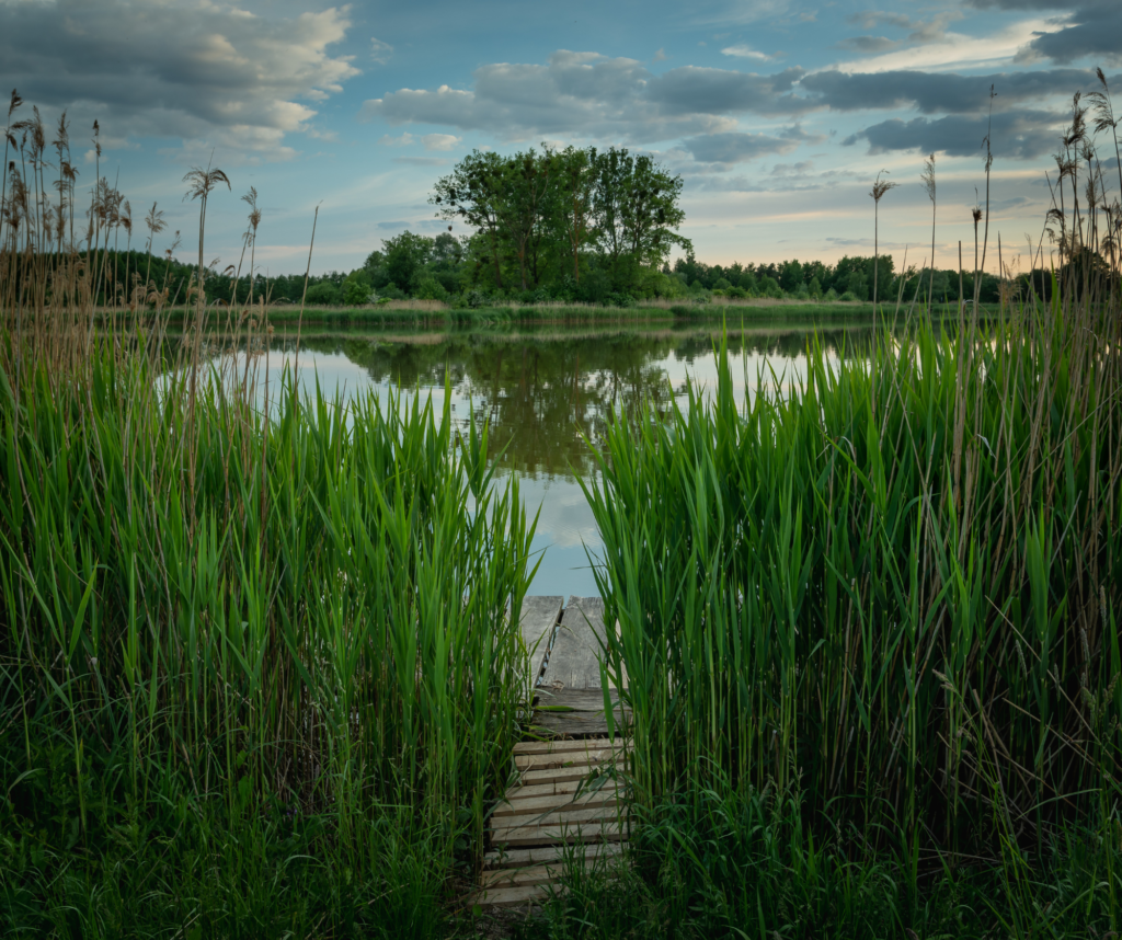 De Ultieme Feeder Visserij Locaties